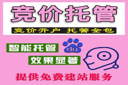 百度推广费用案例分析：如何提高ROI